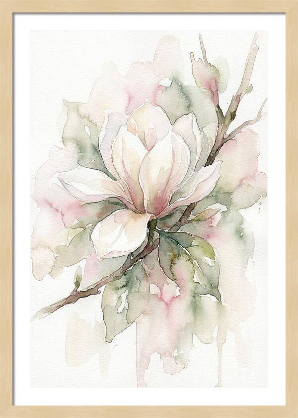 Serenity Of Magnolia Blooms