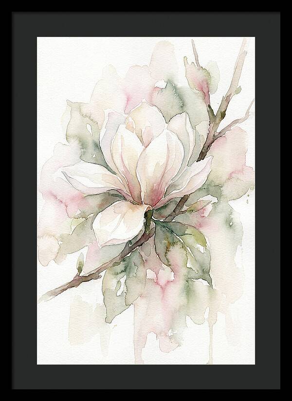 Serenity Of Magnolia Blooms