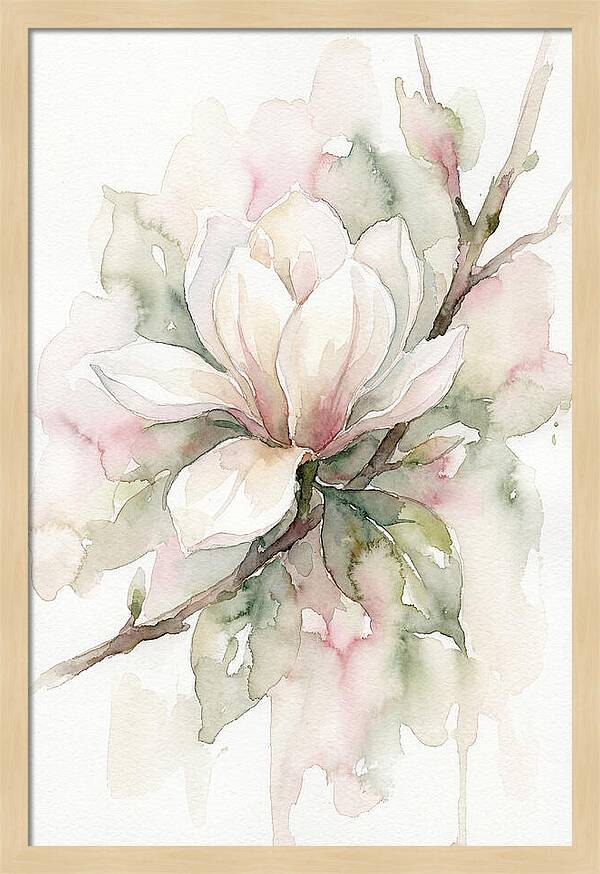 Serenity Of Magnolia Blooms