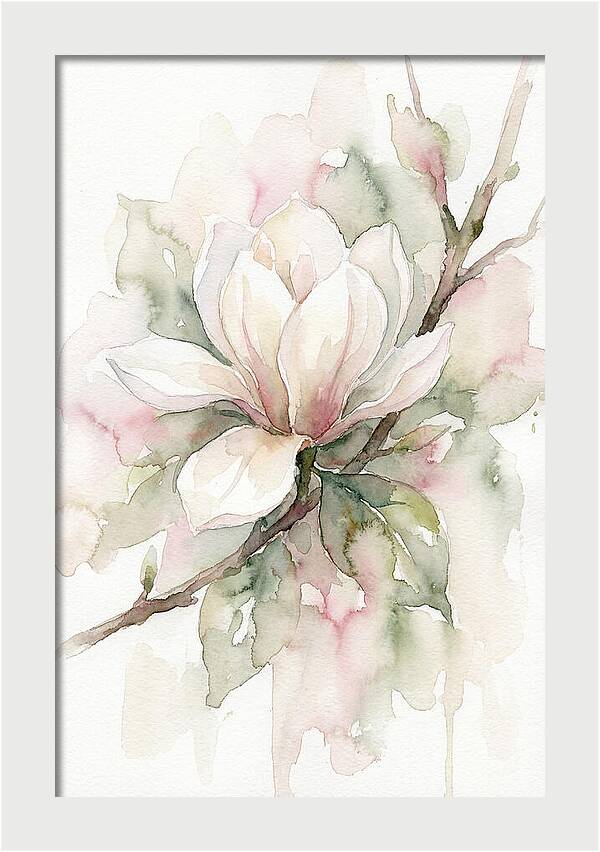 Serenity Of Magnolia Blooms