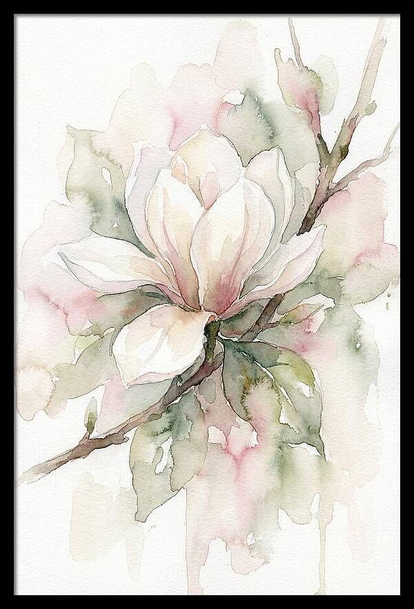 Serenity Of Magnolia Blooms