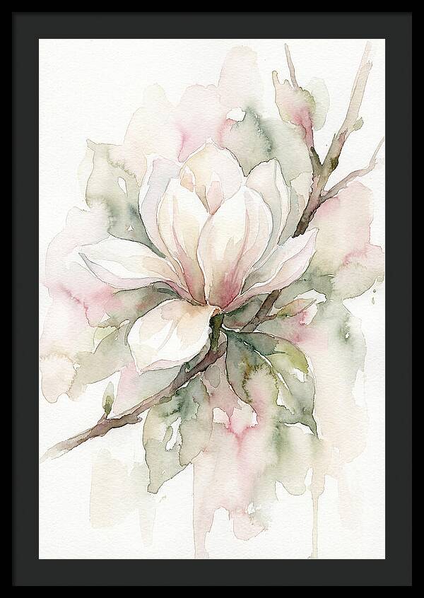 Serenity Of Magnolia Blooms