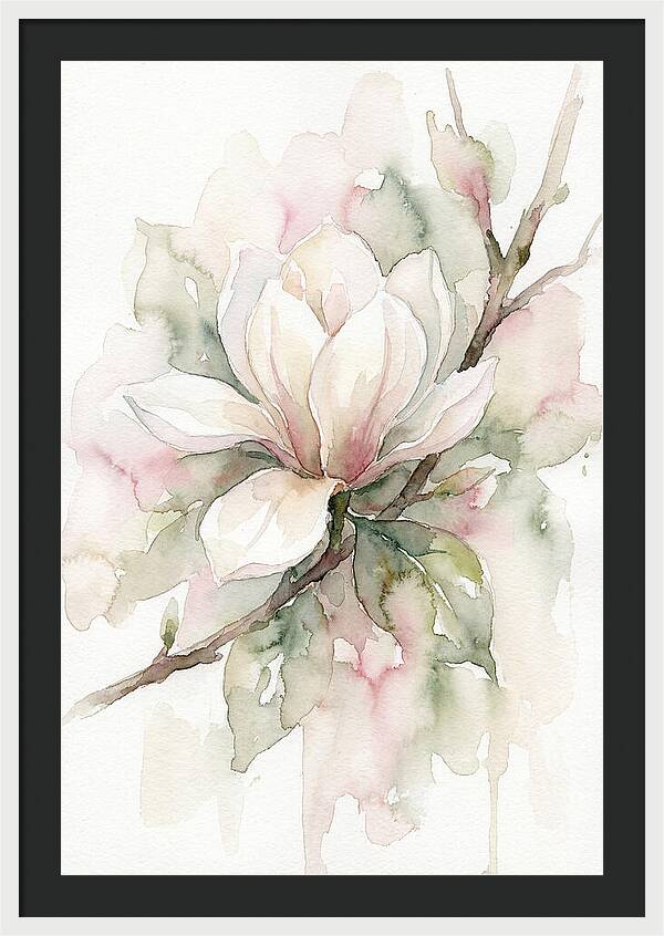 Serenity Of Magnolia Blooms