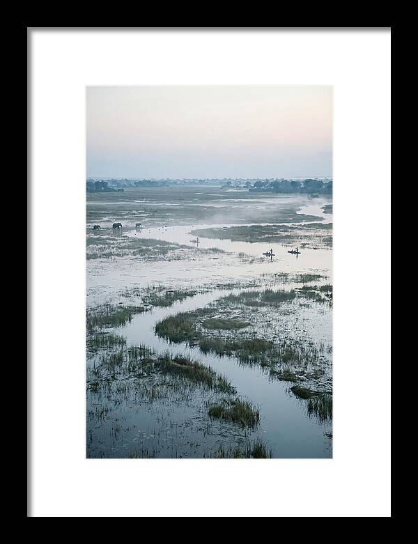 Serenity Of Okavango Delta