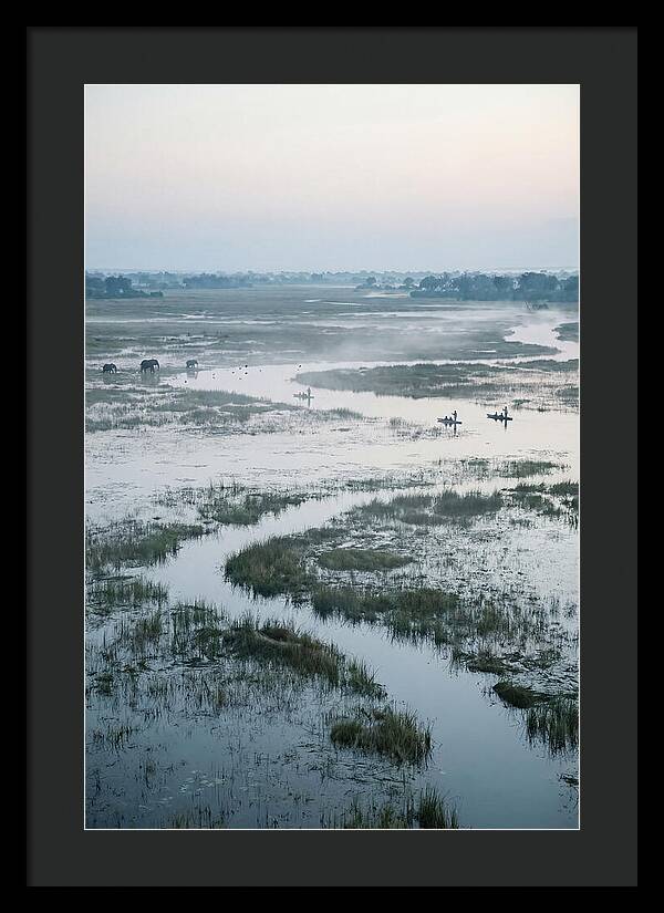 Serenity Of Okavango Delta