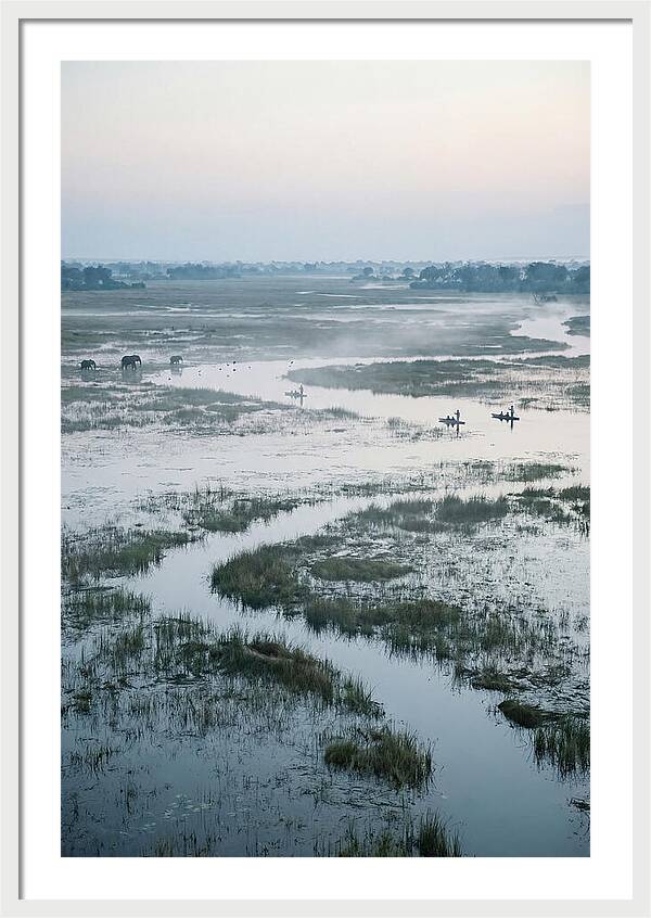 Serenity Of Okavango Delta