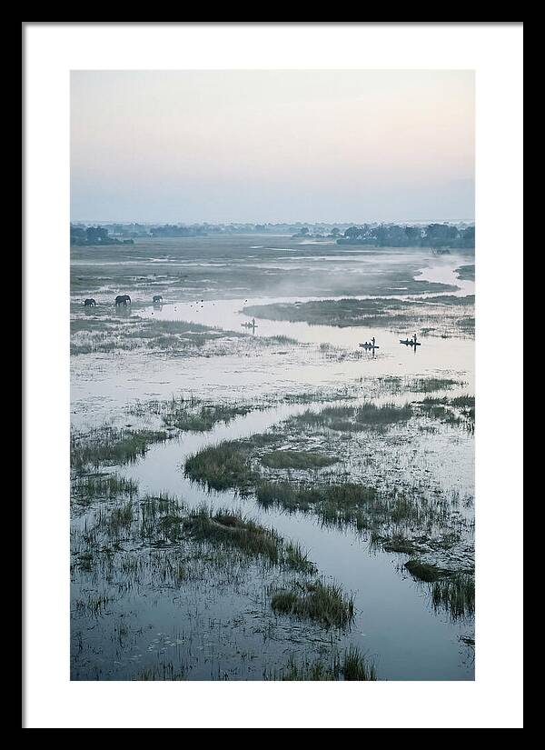 Serenity Of Okavango Delta