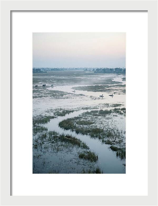 Serenity Of Okavango Delta