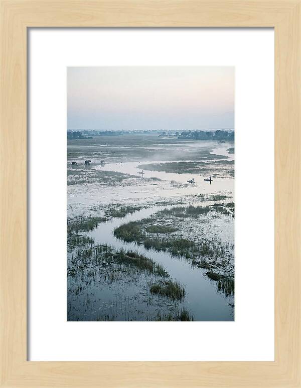 Serenity Of Okavango Delta