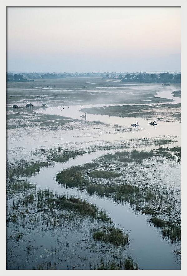 Serenity Of Okavango Delta