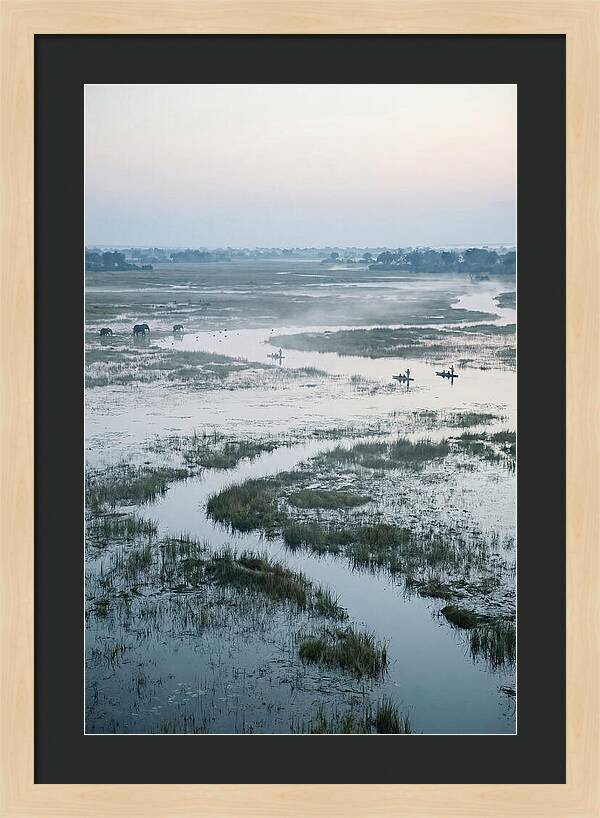 Serenity Of Okavango Delta