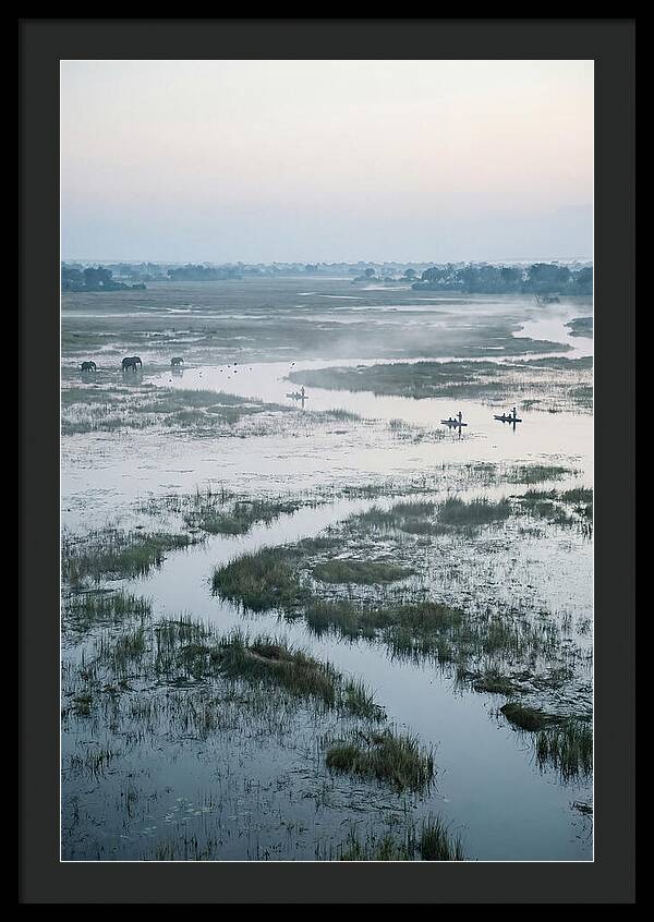 Serenity Of Okavango Delta