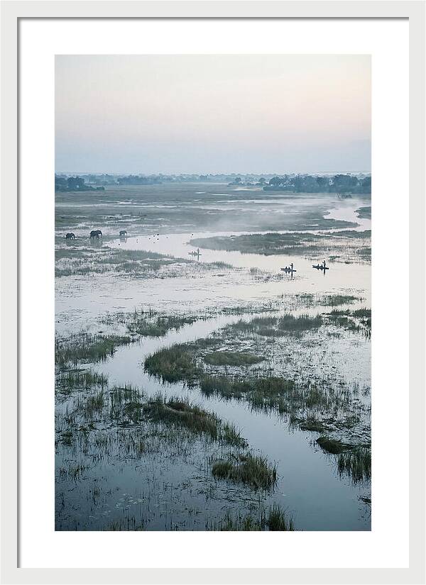 Serenity Of Okavango Delta