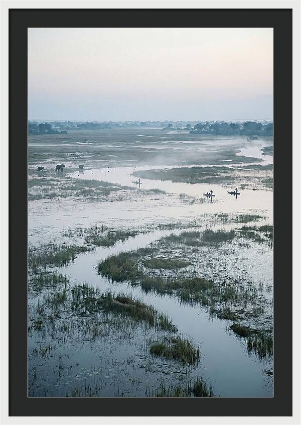 Serenity Of Okavango Delta