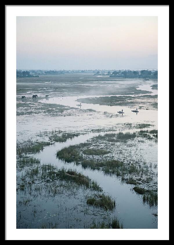 Serenity Of Okavango Delta