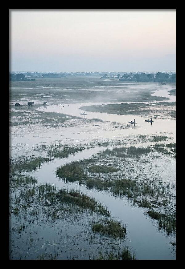 Serenity Of Okavango Delta