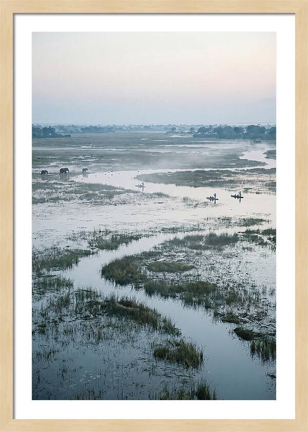 Serenity Of Okavango Delta