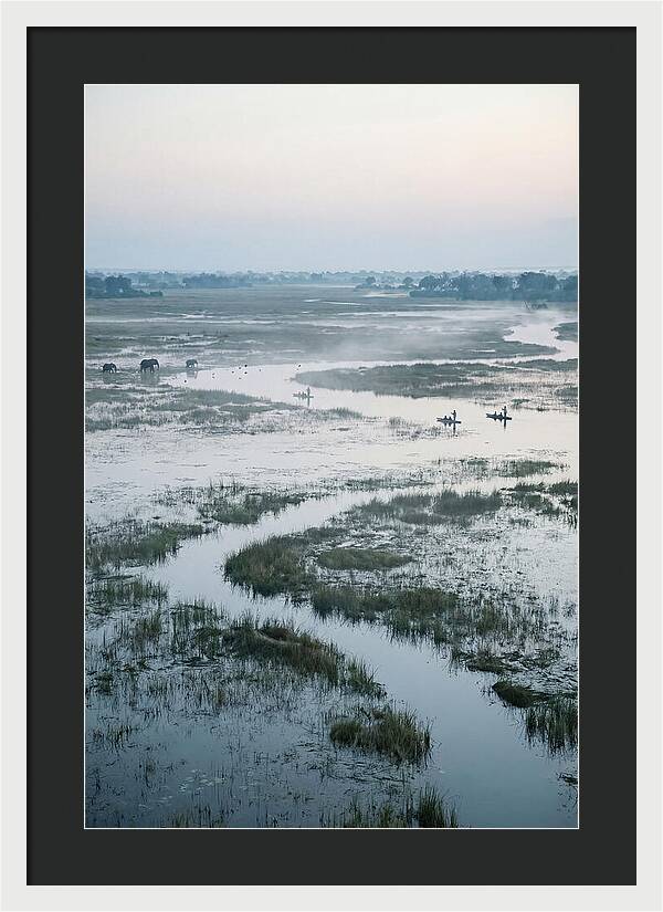 Serenity Of Okavango Delta