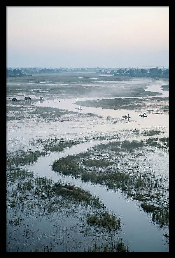 Serenity Of Okavango Delta
