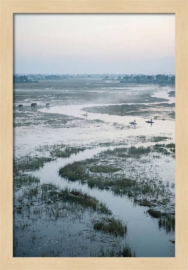 Serenity Of Okavango Delta