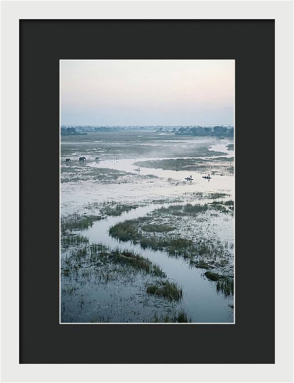 Serenity Of Okavango Delta
