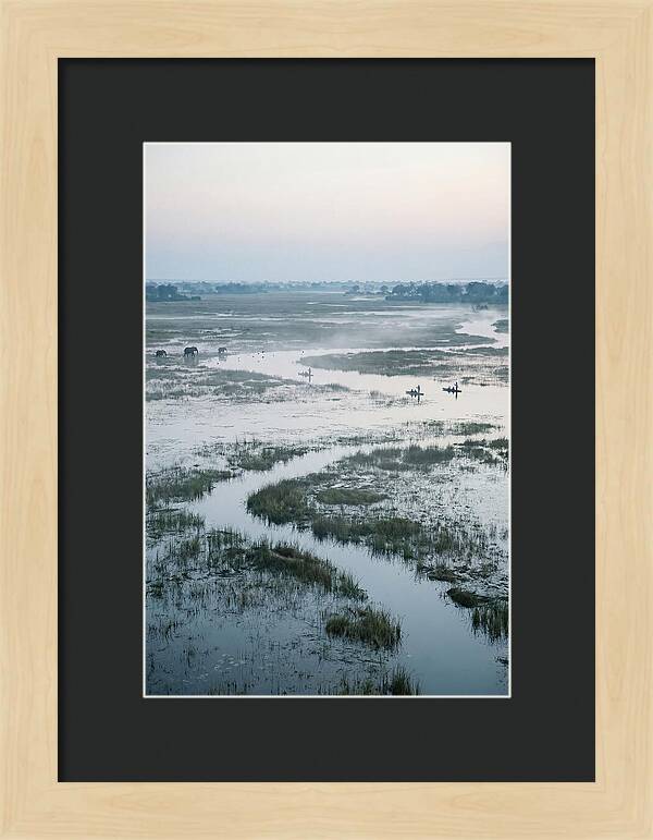 Serenity Of Okavango Delta