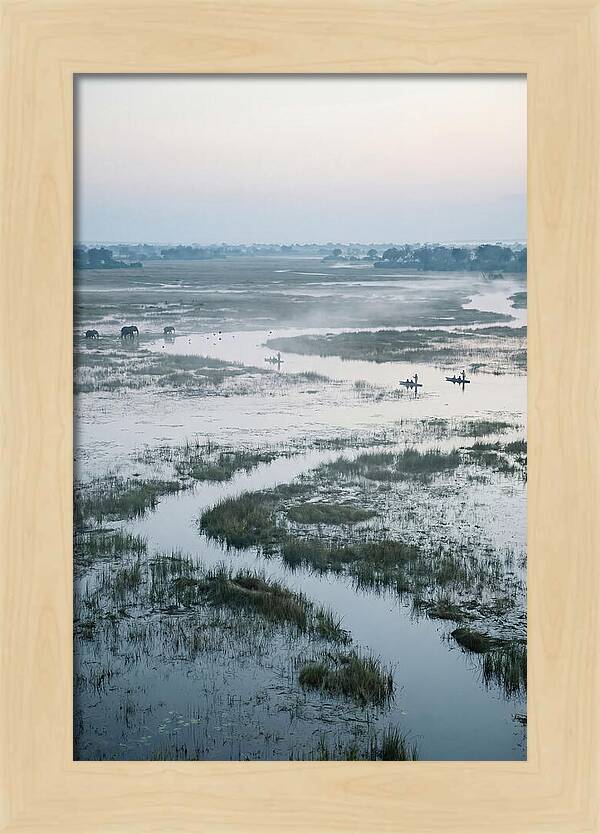 Serenity Of Okavango Delta