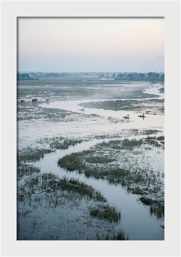 Serenity Of Okavango Delta