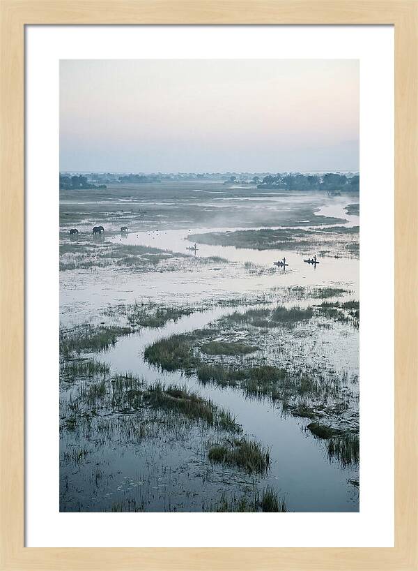 Serenity Of Okavango Delta