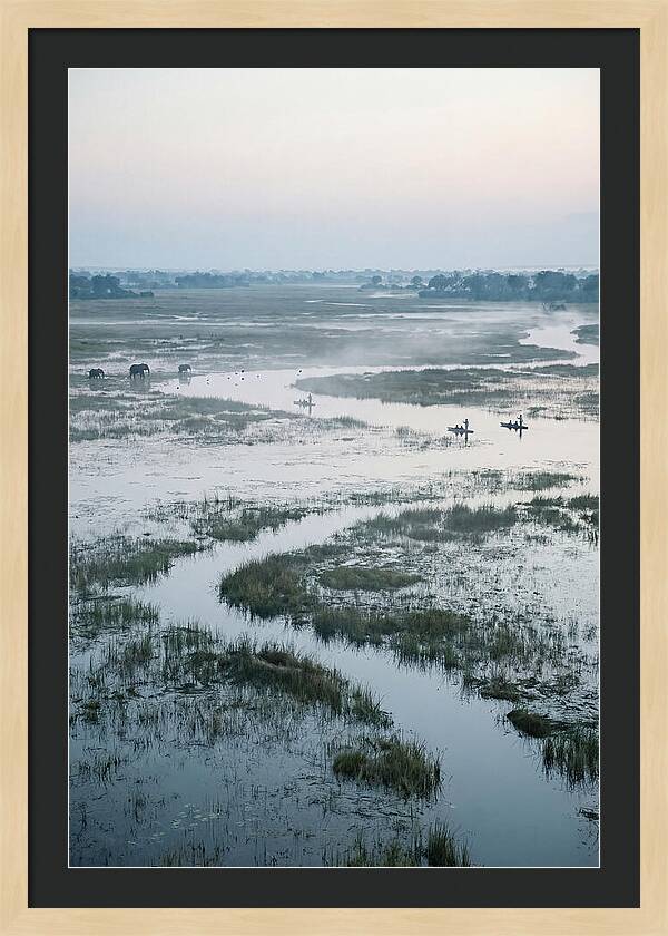 Serenity Of Okavango Delta