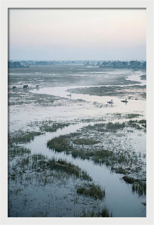Serenity Of Okavango Delta