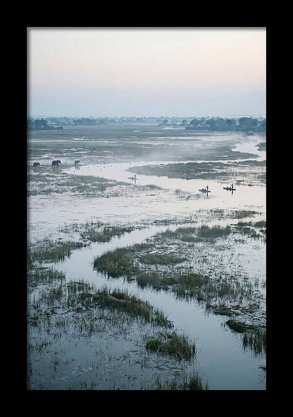 Serenity Of Okavango Delta