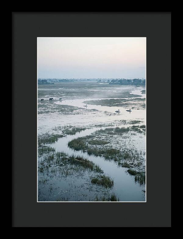 Serenity Of Okavango Delta
