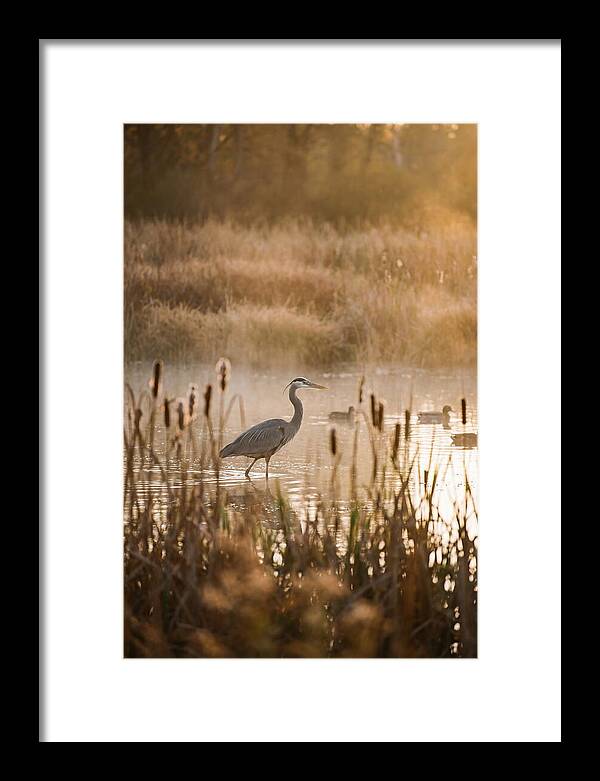 Serenity Of The Okavango Delta