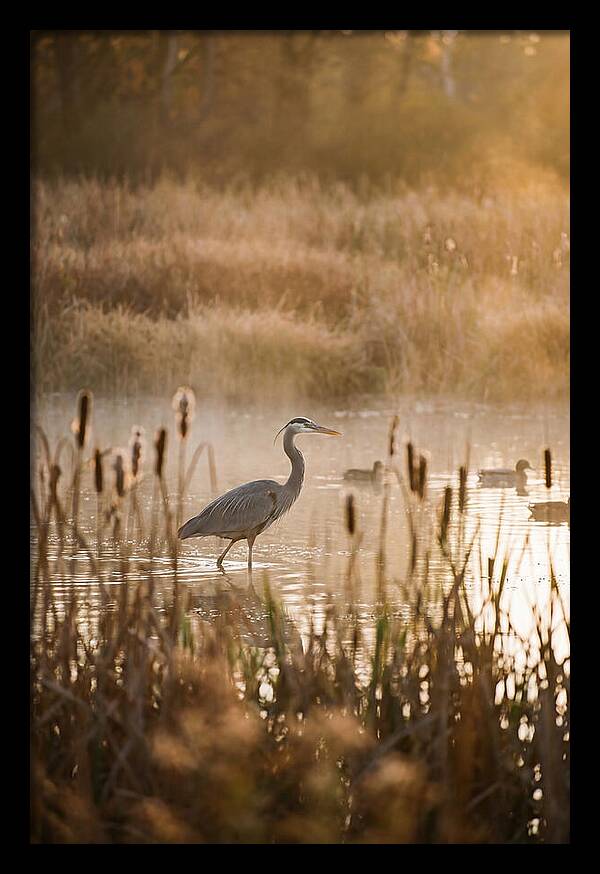 Serenity Of The Okavango Delta