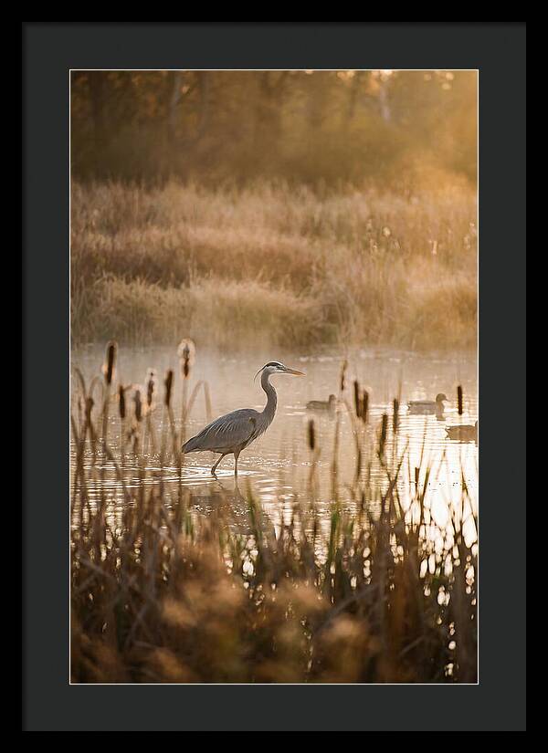 Serenity Of The Okavango Delta