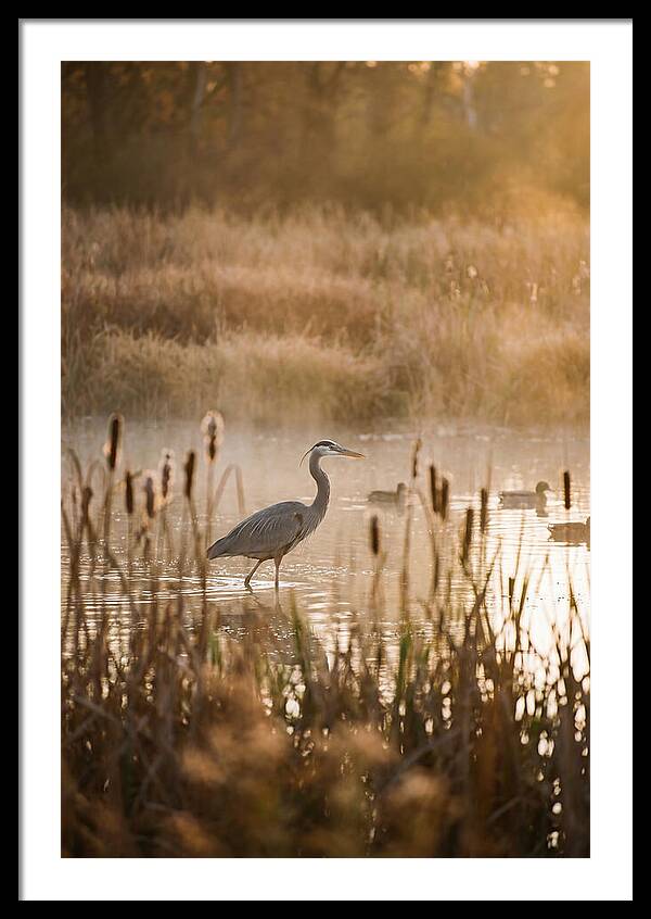 Serenity Of The Okavango Delta