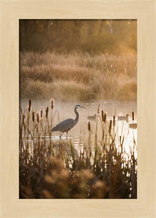 Serenity Of The Okavango Delta