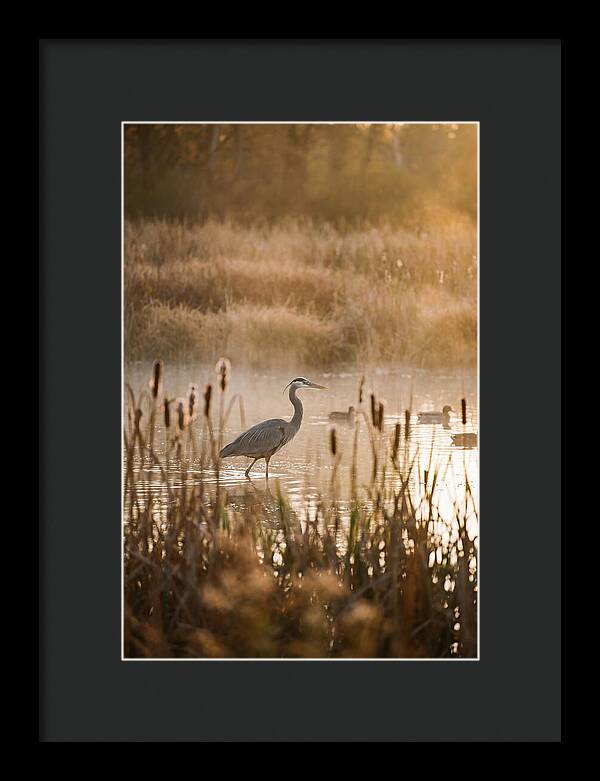 Serenity Of The Okavango Delta