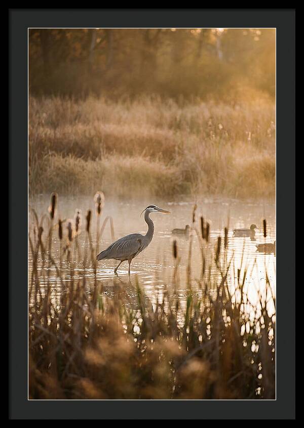 Serenity Of The Okavango Delta