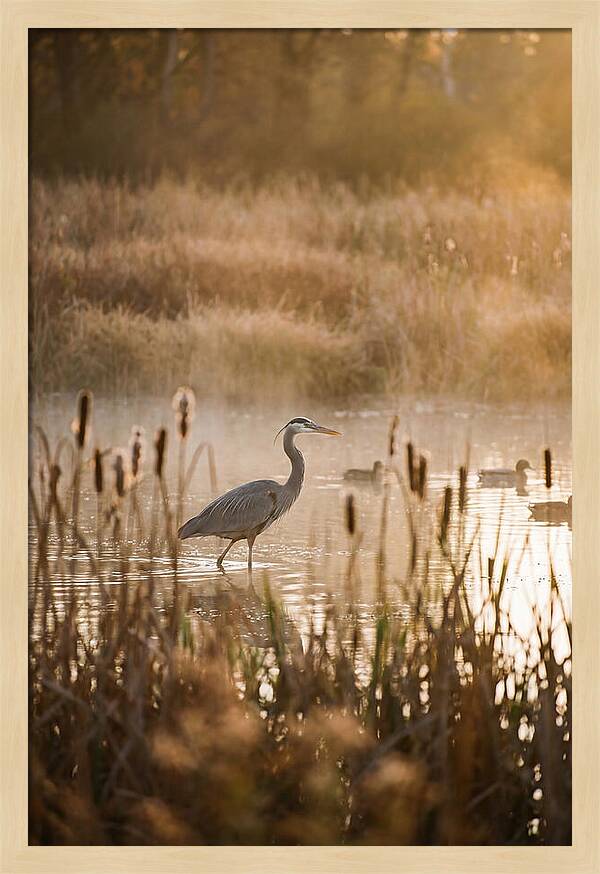 Serenity Of The Okavango Delta
