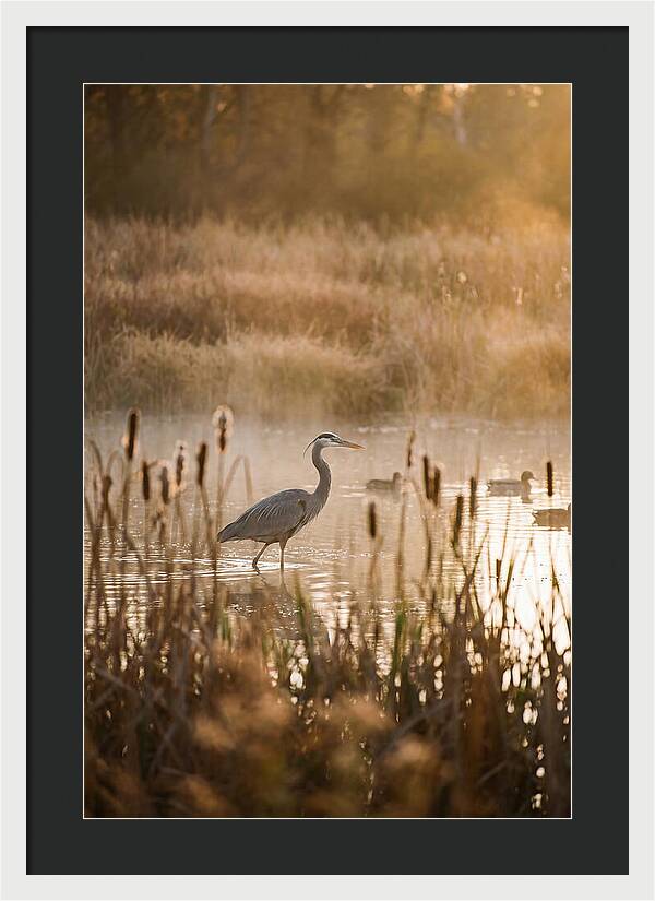 Serenity Of The Okavango Delta