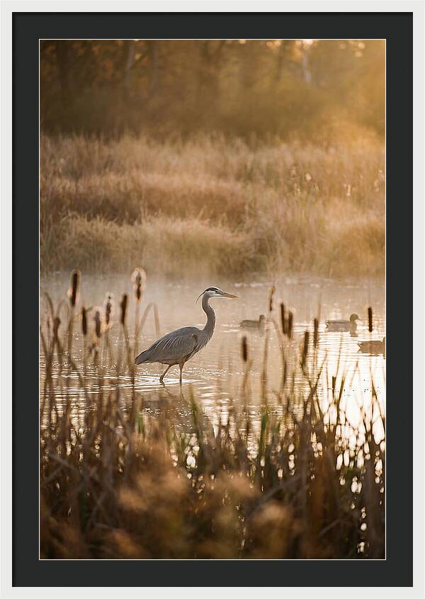 Serenity Of The Okavango Delta