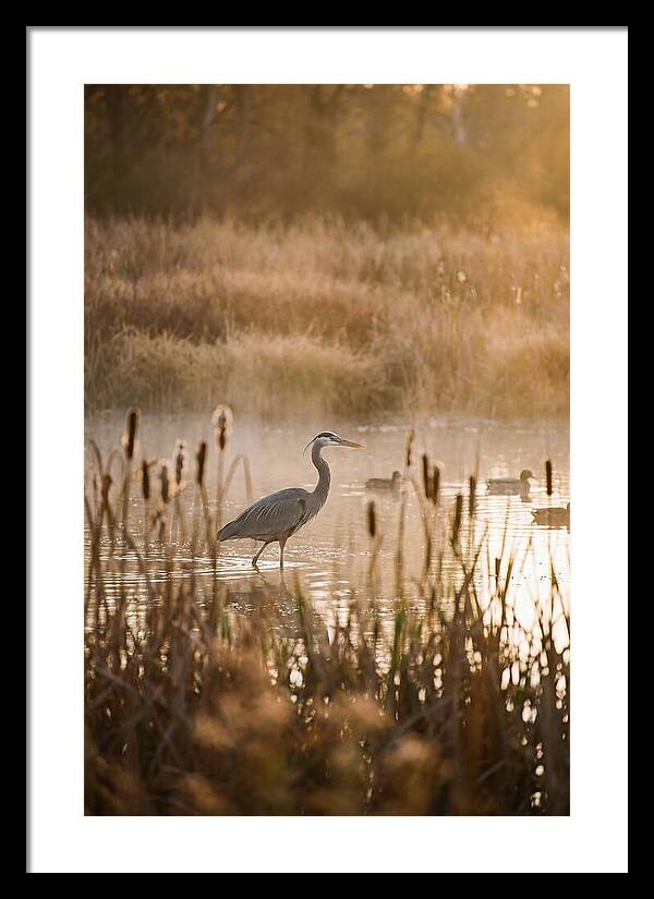 Serenity Of The Okavango Delta