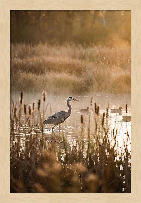 Serenity Of The Okavango Delta