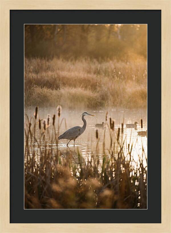 Serenity Of The Okavango Delta