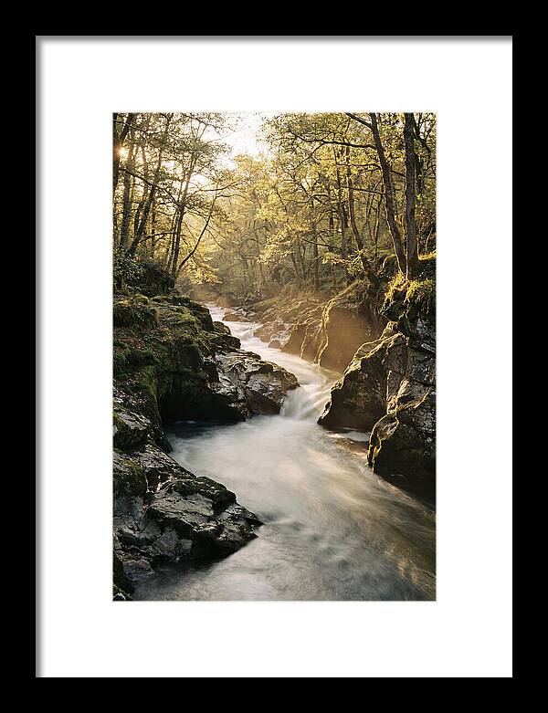 Serenity Of Vintgar Gorge