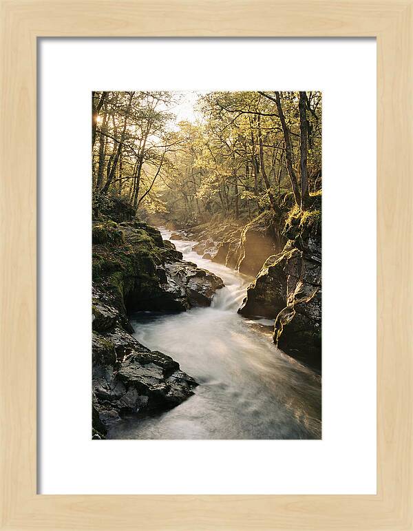Serenity Of Vintgar Gorge