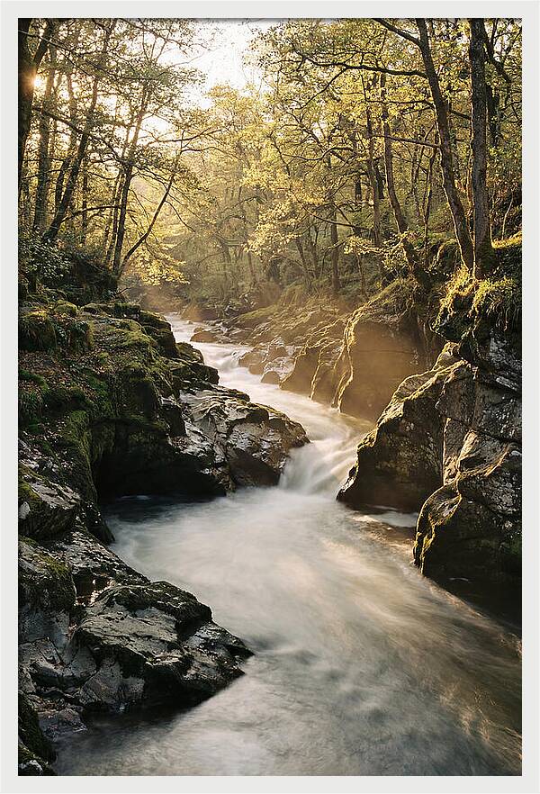 Serenity Of Vintgar Gorge