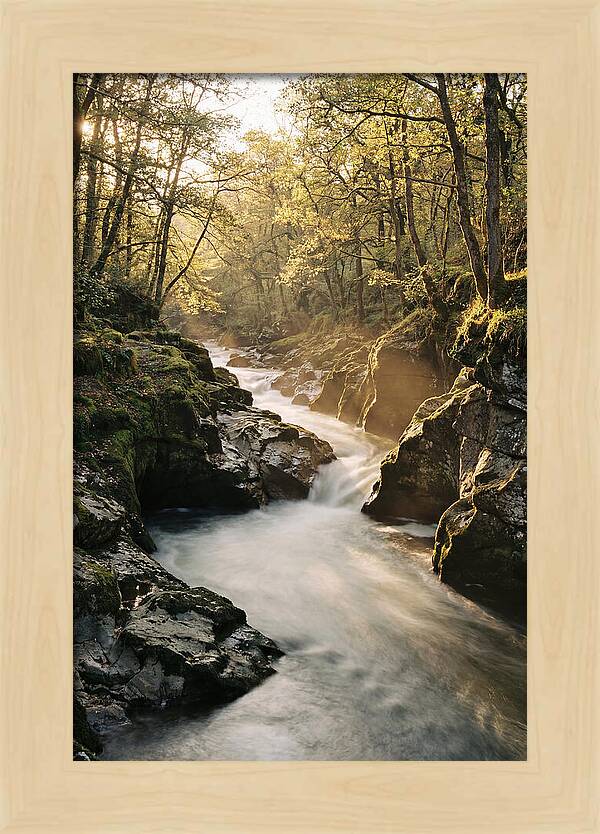 Serenity Of Vintgar Gorge